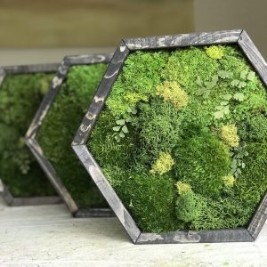 moss wall art, moss art wall, living wall, a living wall, live walls, plant living wall